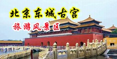 日逼小美女的黄色视频中国北京-东城古宫旅游风景区